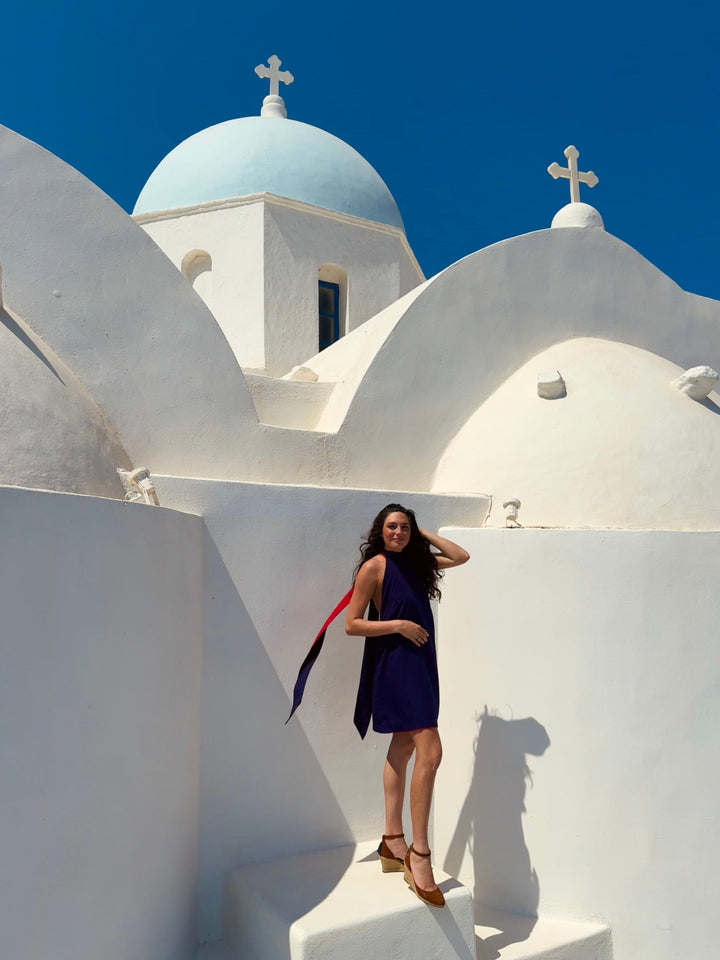 Classic navy and Red reversible backless dress Dress Hannah Sophia England 