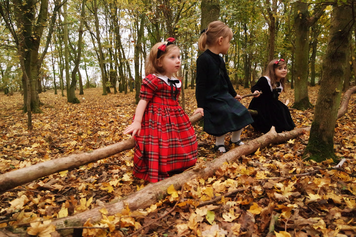 Pre-Order Reversible Florence short sleeved red and velvet smock dress with detachable collar Hannah Sophia England 